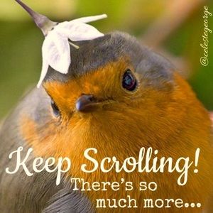 📌TIPPING POINT📌 Regarding Profile Pictures…💁‍♀️